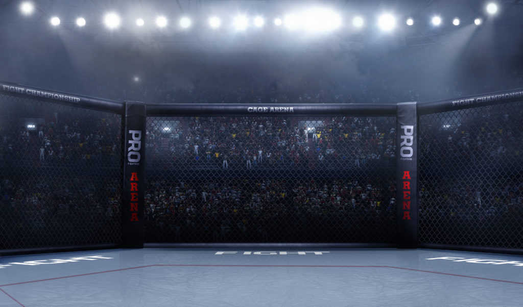 Sports campaign. UFC - Cage fight 
