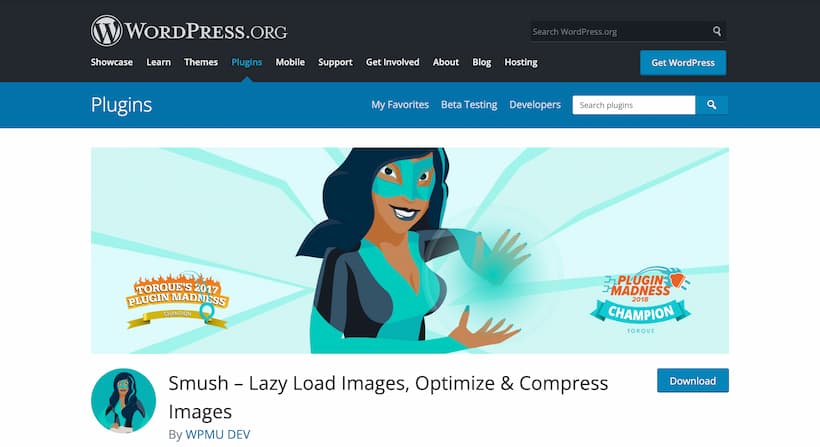 Top WordPress Plugins - Smush - image