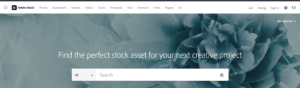 Adobe Stock homepage 