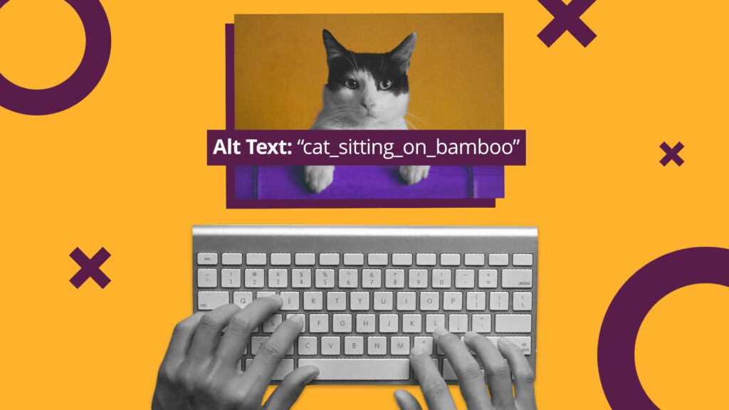 alt text cat example